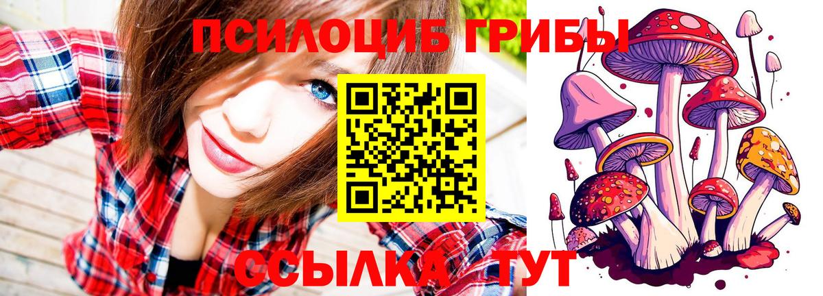 Нерюнгри  Галлюциногенные грибы Psilocybe  Вход с VPN  Псилоцибиновые грибы Psilocybine cubensis 